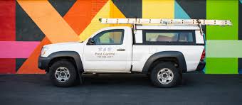 If you have a bee problem call northeast pest control, rehoboth, mass you will not be disappointed. Lynn Ma Pest Control Peabody Ma Pest Control Saugus Ma Pest Control Danvers Ma B B Pest Control