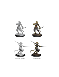 Comprar D D Nolzur S Marvelous Miniatures Male Tabaxi Rogue 2 Miniaturas A medium sized tabaxi rogue in reference to monster manual 343. comprar d d nolzur s marvelous miniatures male tabaxi rogue 2 miniaturas