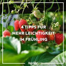 Leicht Durch Den Fruhling Mit Xucker Zuckerfrei Leben Deutsche Gesellschaft Fur Ernahrung Stoffwechsel Ankurbeln