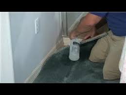 Check spelling or type a new query. Carpet Cleaning How To Remove Cat Urine Odor From Carpet Youtube