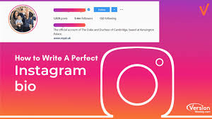 20 of the world s most clev! Instagram Bio Guide Check How To Write Perfect Insta Bios 150 Best Instagram Bio Ideas Examples Version Weekly