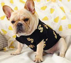 Free shipping on orders over $25 shipped by amazon. The Finest Shirts For French Bulldogs In 2020 French Bulldog Breed