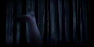 【特定】教えてください(5) 投稿：竜騎士レオン 原作：イナズマイレブン なんか色々混ざった伝説？ の先輩、後輩もの教えてください. é»'15 On Twitter Dbdã®æ–°ã‚­ãƒ©ãƒ¼ã‚‚ã—ã‹ã—ã¦ã‚¯ãƒ¯ã‚¤ã‚¨ãƒƒãƒˆ ãƒ—ãƒ¬ã‚¤ã‚¹ã®ãƒ¢ãƒ³ã‚¹ã‚¿ãƒ¼ã‹ãª è‚Œã®è‰²åŒã˜ã 