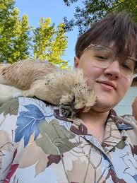 Chickens as therapy for stress relief