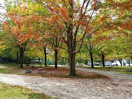 Maybe you would like to learn more about one of these? Orchard Beach State Park Detail