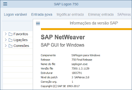 · give the instance entries by click on new entry button and specify . Sap Gui 7 4 Patch Download Yellowstyle