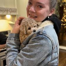 Reviews & Testimonials