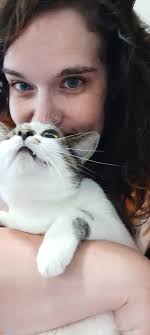 Vote for favorite pumpkin