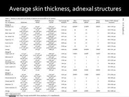 Epidermis Thickness Chart Related Keywords Suggestions
