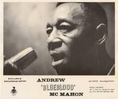 Illustrated Andrew 'Blueblood' McMahon discography