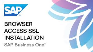 Browser Access Installation Sap Business One 9 2 9 3 Part 2 2 Youtube