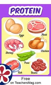 What food listed below is not high in fiber? 280 Healthy Eating Worksheets Ideas In 2021 Group Meals Food Themes Food Activities
