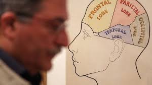 Can 'brain training' make you smarter?