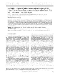 Image result for Poecilostachys oplismenoides