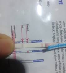 We did not find results for: Hasil Test Pack 2 Garis Berjauhan Saya Sudah Tespek Tapi Has