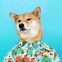 Profil de Imani Martinez (itoon17)