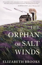 The Orphan Of Salt Winds With Images Historical Fiction Books Novels Book Release