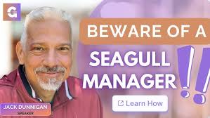 What is a Seagull Manager? Intricacies of Modern Leadership