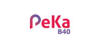 Permohonan oku yang tidak tersenarai sebagai bantuan jkm dan menepati syarat kelayakan bsh 2021. Semakan Kelayakan Peka B40 Online Skim Peduli Kesihatan