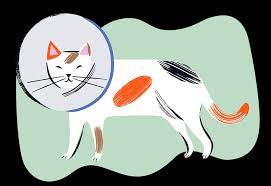 Where can i adopt a kitten from cat tail kitties? Home Pet Tales Rescue