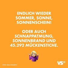 Heute ist es so kalt, da möchte man doch bitte den ofen anwerfen. Visual Statements Endlich Wieder Sommer Sonne Sonnenschein Oder Auch Schnappatmung Sonnenbrand Und 45 292 Muckenst Wetter Zitate Visual Statements Spruche