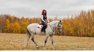 A horse ages 2 months a day on howrse, if you take care of your horse. Should A Horse Be Ridden Every Day The Pros And Cons