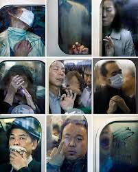 Pin By Samara Diaz On Photography Michael Wolf Train Photography Wolf Photography