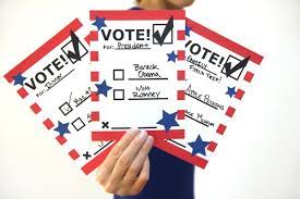 Pin On Cub Scouts Your Vote Counts Theme Citizenship