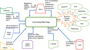 Aug 18, 2021 · ═══════════ universal unlocker tool ═══════════ updated on 08/16/2021 unlocker for: Role Of Nanomaterials In Deactivating Multiple Drug Resistance Efflux Pumps A Review Sciencedirect