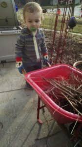 Fertilizing the baby rubber plant is a simple process. How To Garden With A New Baby In The House