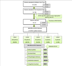 flow chart of btcp diagnosis process flow chart of patients