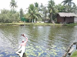 Villaggio Degli Indios Taino Foto De Guama Santiago De Cuba Province Tripadvisor
