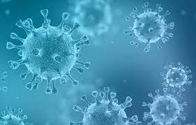 Severe acute respiratory syndrome (sars) is a contagious and sometimes fatal respiratory illness. Klinische Auswirkungen Der Sars Cov 2 Virusvarianten