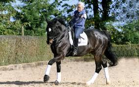 Christopher tronco und juan reyes erbringen in diesen tagen unglaubliche leistungen: Reiten Mit Handicap Pferdemagazin
