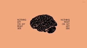 Best 57 Brain Wallpaper On Hipwallpaper Brain Wallpaper Artificial Intelligence Brain Wallpaper And Brain Medical Wallpaper