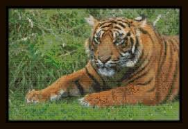Counted Cross Stitch Pattern The Tiger Is Watching You Color Chart Dmc Floss Chart Animal Series Just Print And Start Stitching