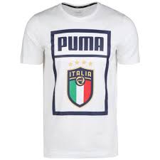 Puma T Shirt Figc Italien Dna Em 2021 Offizielle Figc Italien Fanwear Online Kaufen Otto