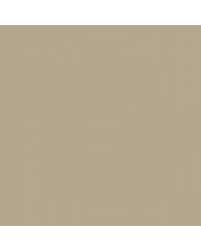 Image result for Light Autumnwood 1999 Truck