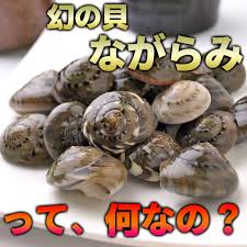 ながらみって一体なに 千葉県九十九里浜で人気の貝の正体に迫る まるっと千葉を知り尽くしたい