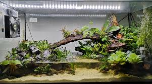 Nouveau Paludarium Je Vous Souhaite A Tous Une Tres Bonne Nouvelle Annee Ple