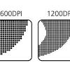The actual quality (resolution) of the image (within the file itself) is not affected when its dpi value is. 1