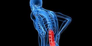 Each of the chambers has two connected parts: 7 Pains You Should Never Ignore Men S Health