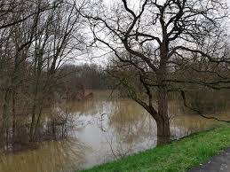 Klick hier um hochwasser spiele gratis zu spielen auf spielkarussell.de: Wunderbar Sternschnuppenkinder Erleben Hochwasser Im Winterlichen Auwald