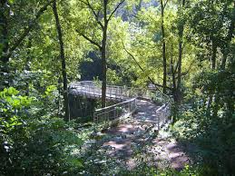 Holzbrucke Im Forstbotanischen Garten Tharandt Deutscher Bruckenbaupreis