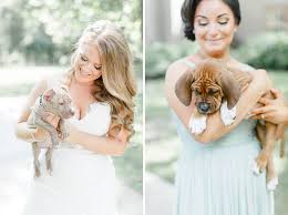 This on was made by dragonflies. This Wedding Party Had Rescue Puppies Instead Of Flowers To Send A Beautiful Message Bored Panda
