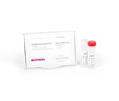 Abbreviation for complementary dna, sometimes used as copy dna. Qpcrbio Cdna Synthesis Kit Pcr Biosystems