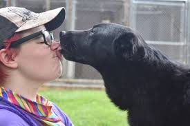 It's reasonable and the facility is clean.and the owner loves dogs! Dog Boarding Bowwag Pet Resort