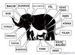 Resimde Kac Hayvan Goruyorsunuz Cevabi 2020 Hayvan Bilgelik Alintilari Psikolojik Gercekler