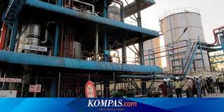 Berbagi informasi seputar lowongan kerja terbaru dan alamat email aktif pt area jabodetabek. Cpo Dan Karet Gagal Masuk Daftar Ramah Lingkungan Apec