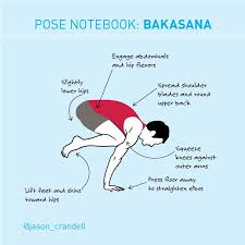 Bakasana Yoga Pose Crow Pose Crane Pose Jason Crandell Yoga Method Vinyasa Yoga Yoga Poses Yoga Poses For Beginners